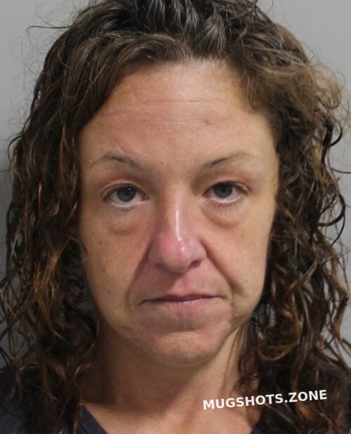 DULL MICHELLE ELIZABETH 11/10/2022 - Polk County Mugshots Zone