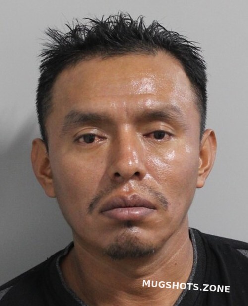 BACHES BENITO WILLIAM ALFREDO 11/27/2022 - Polk County Mugshots Zone