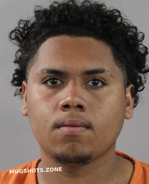 ALCANTARA ANGEL 01/10/2024 Polk County Mugshots Zone