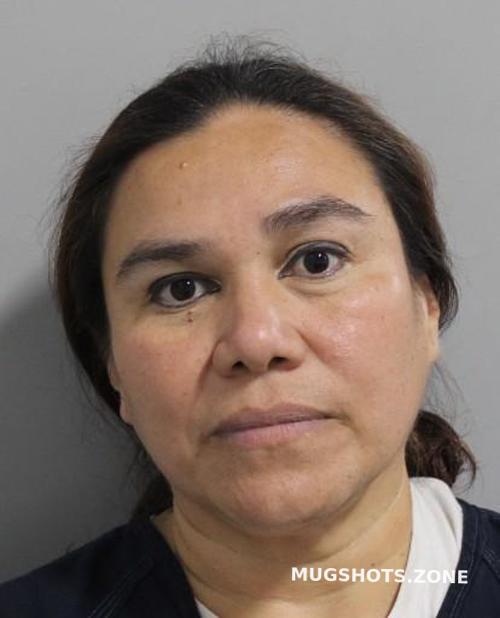 MARAVILLA MARGARITA 08/11/2024 - Polk County Mugshots Zone