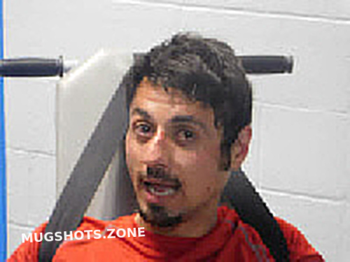 RYAN ALEXANDER GREEN 03/08/2024 - Polk County Mugshots Zone