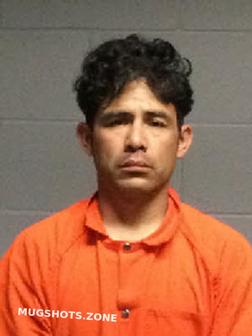 REYES LUIS ALFREDO 03/08/2023 Polk County Mugshots Zone