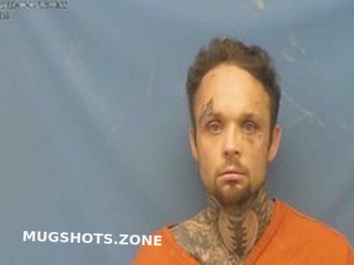 JESSE WAYNE CHANEY 06/14/2022 - Pope County Mugshots Zone