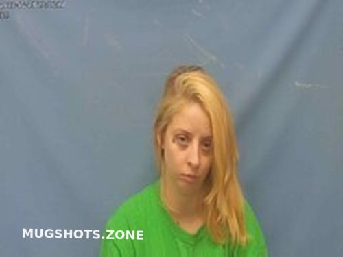 SHELBY LYNN STOVER 11/28/2022 - Pope County Mugshots Zone