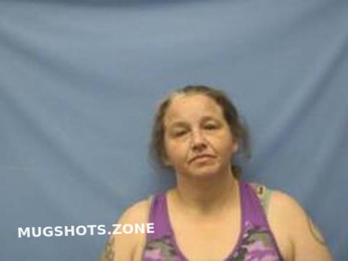 BRANDEE RENEE BROWN 01/18/2024 - Pope County Mugshots Zone