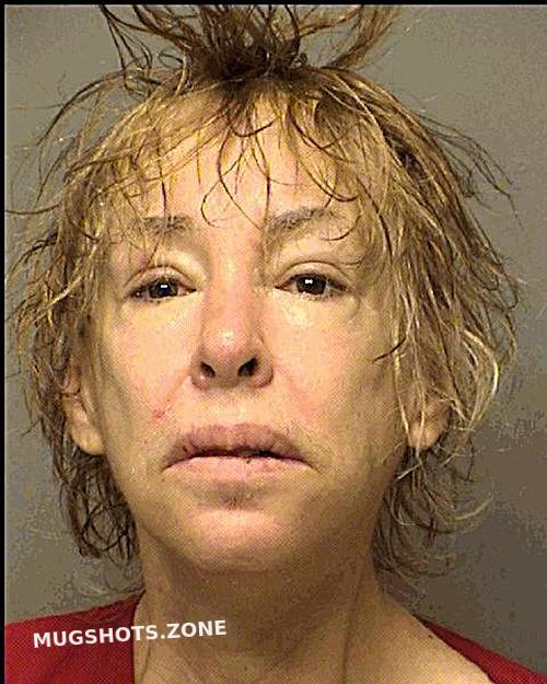 MATERN SARAH KATHRYN 03/20/2022 Porter County Mugshots Zone