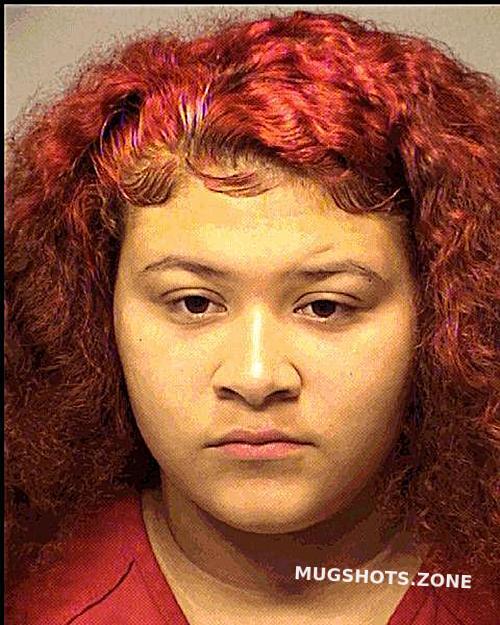 GUERRA ALICIA VALENTINA 06/15/2022 Porter County Mugshots Zone