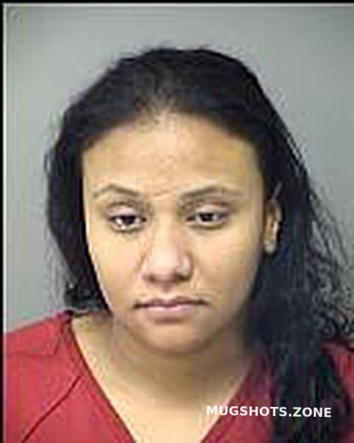 MADERA HILDA ALTGRACIA 01/26/2024 Porter County Mugshots Zone