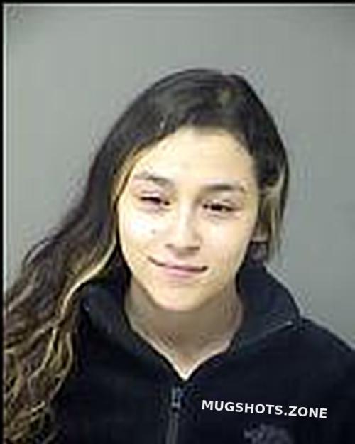 mercado-elexiyah-maylin-02-06-2024-porter-county-mugshots-zone
