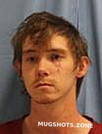 MANN WILLIAM CODY 04/15/2025 - Pulaski County Mugshots Zone