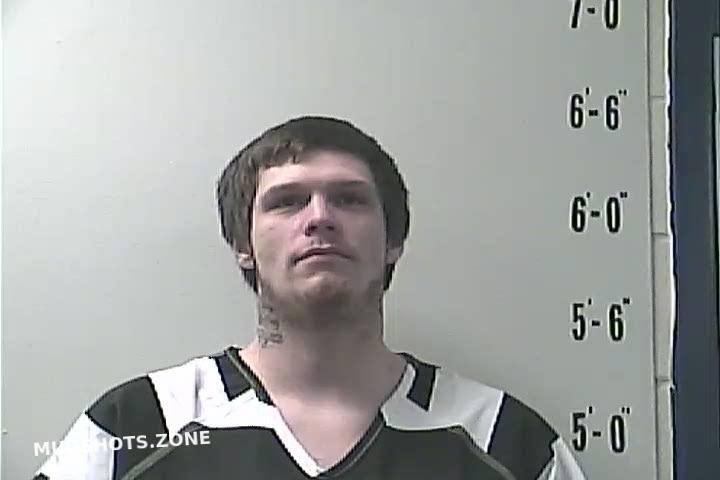 REED SHAWN DAVID 01/12/2023 - Pulaski County Mugshots Zone