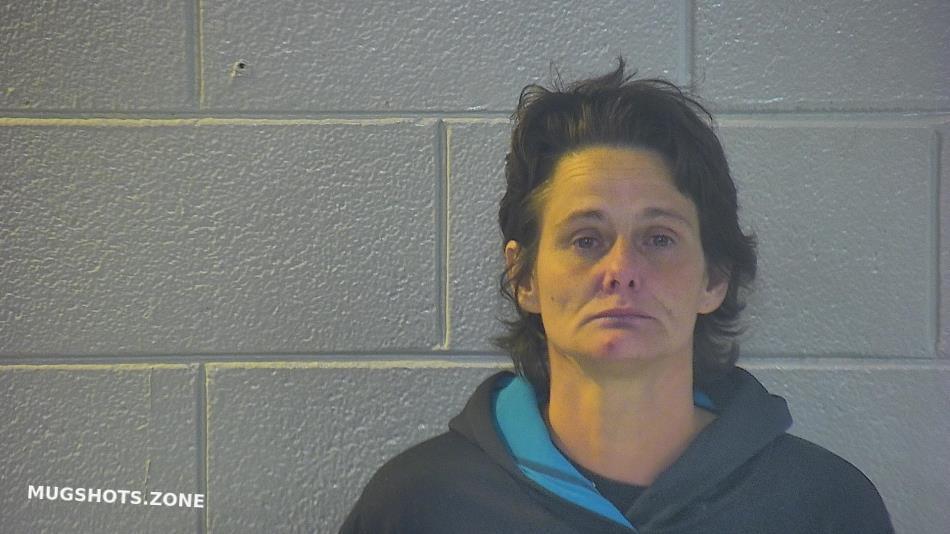 Hollis Tonya Lee Pulaski County Mugshots Zone My XXX Hot Girl