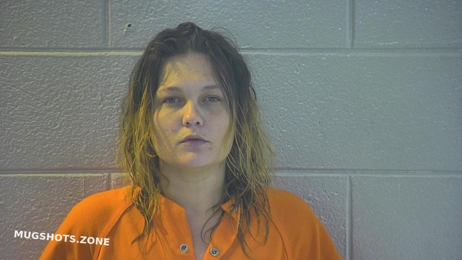 DEWITT DESTINY NICHOLE 11/11/2022 Pulaski County Mugshots Zone