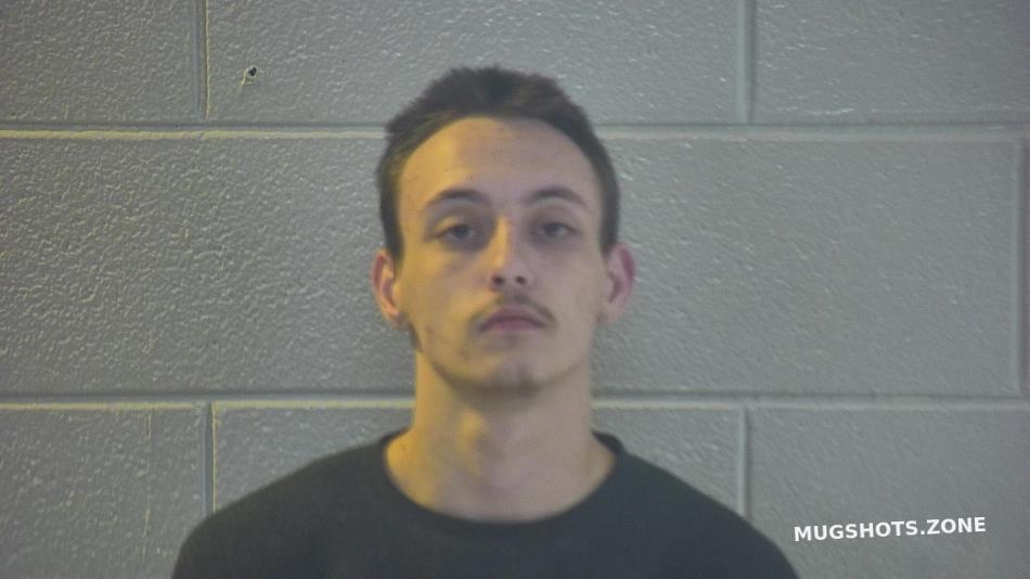 BROWN DAWSON R 03/25/2023 - Pulaski County Mugshots Zone