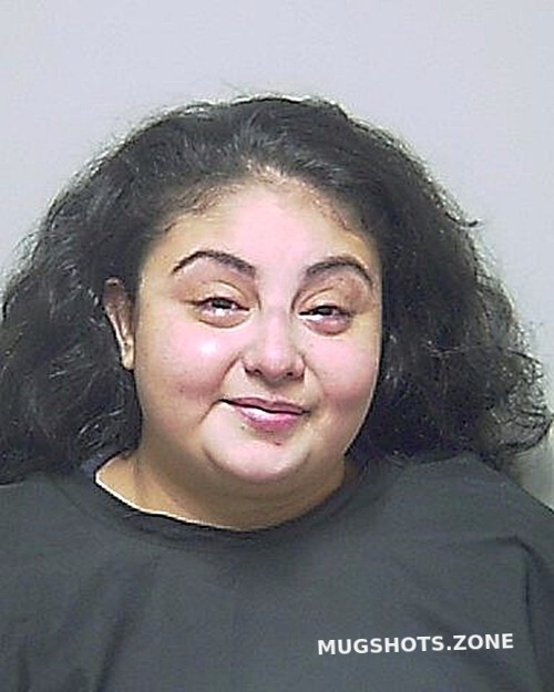 Ibarra Priscilla 11 28 2023 Putnam County Mugshots Zone