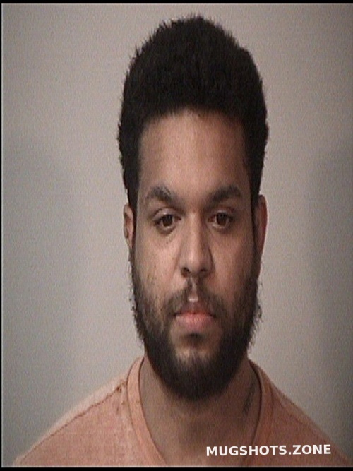 LOGAN TIMOTHY RYAN 05/30/2023 Rappahannock Regional Jail Mugshots Zone