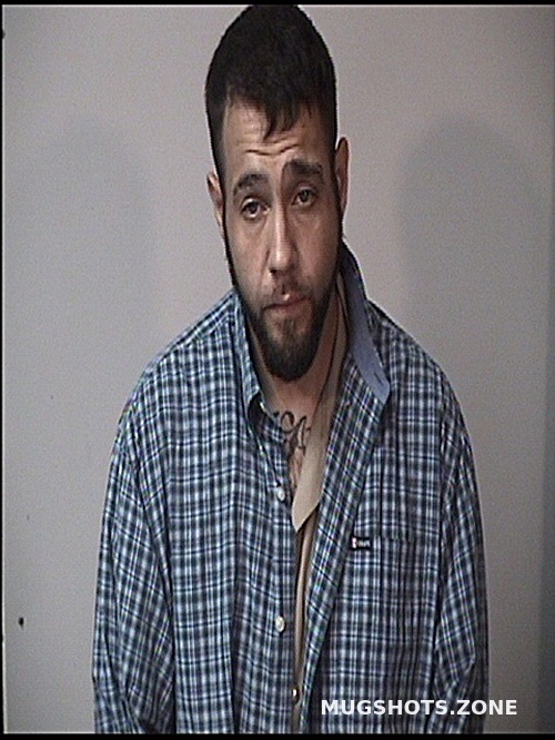mugshots of recent arrests mugshots of recent arrests