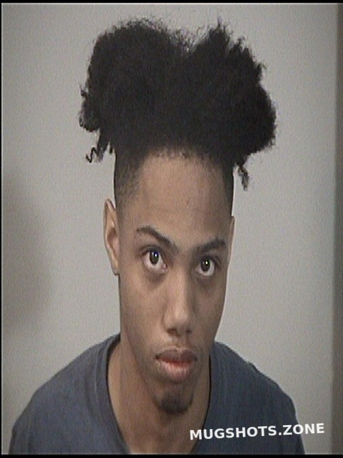 JOHNSON DAVIAN 03/14/2024 Rappahannock Regional Jail Mugshots Zone