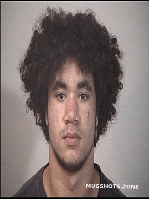 TIMMONS CAMERON LEE 10/30/2024 Rappahannock Regional Jail Mugshots Zone
