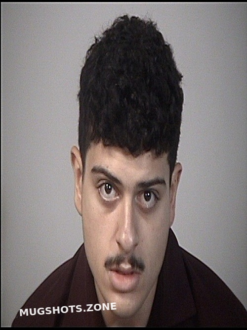 ALMOKHTAR YOUSSIF 12/13/2024 Rappahannock Regional Jail Mugshots Zone