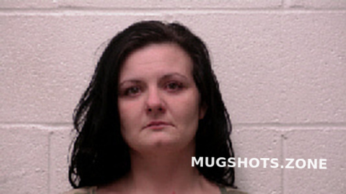 Bentley Laura Michelle 11042023 Robertson County Mugshots Zone 