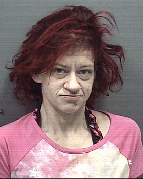 Upright April Lynn 02112022 Rowan County Mugshots Zone