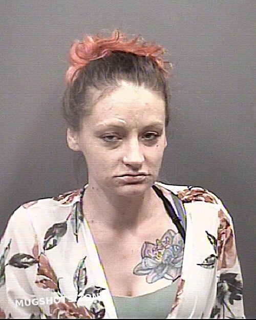 mugshots of recent arrests mugshots of recent arrests