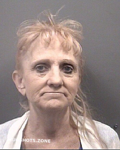 DOBSON TAMMY 10/23/2023 Rowan County Mugshots Zone