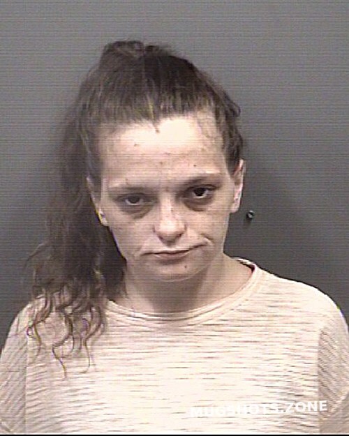 TUCKER BRITTANY MICHELLE 11/16/2023 Rowan County Mugshots Zone
