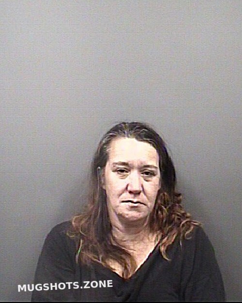 NEWTON BRENDA GAIL 11/13/2024 Rowan County Mugshots Zone