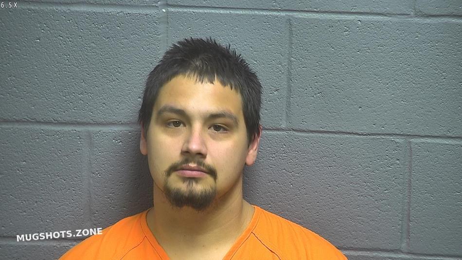 DAVIS SHAWN EDWARD N/A 03/09/2023 RSW Regional Jail Mugshots Zone