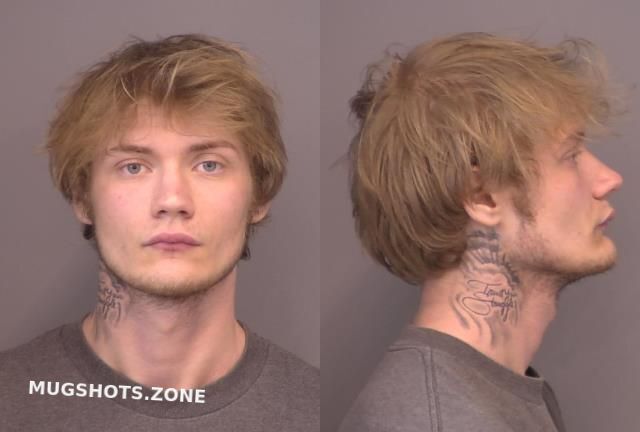 Chard Mathew Allen 02252024 Saline County Mugshots Zone