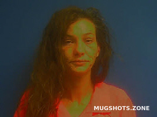 Chavis Heather Lynn Sampson County Mugshots Zone