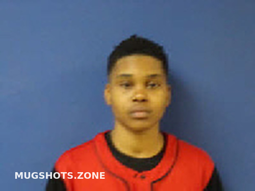 JOHNSON ALENA CHARNICE 03 04 2024 Sampson County Mugshots Zone JOHNSON ALENA CHARNICE 03 04 2024 Sampson County Mugshots Zone