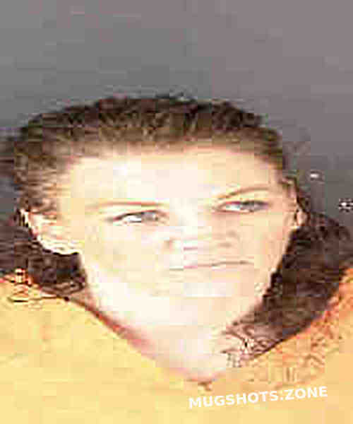 Stieg Jennifer Lynn 04132023 Sarasota County Mugshots Zone