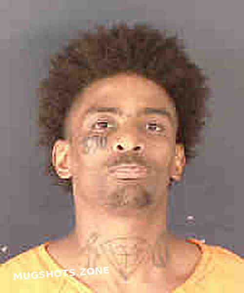 DIPINA DAMAN TROY SYMONDS JR 07/30/2024 Sarasota County Mugshots Zone