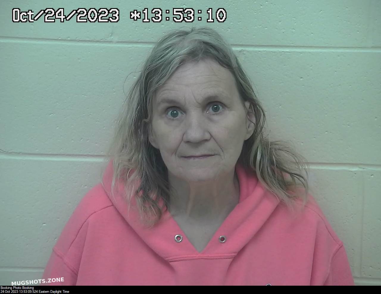 DAVIS REBECCA 10/24/2023 - Scioto County Mugshots Zone