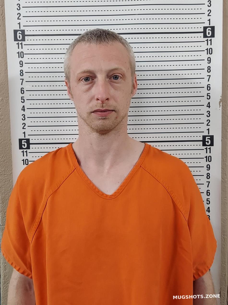 BRASHEAR HERMAN E III 02/17/2024 Scott County Mugshots Zone