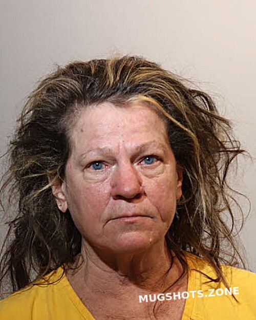 LOIS LAPENSKI 02/02/2021 Seminole County Mugshots Zone