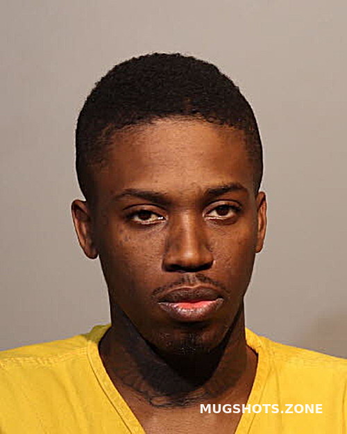 MICHAEL WILLIAMS 01/11/2023 Seminole County Mugshots Zone