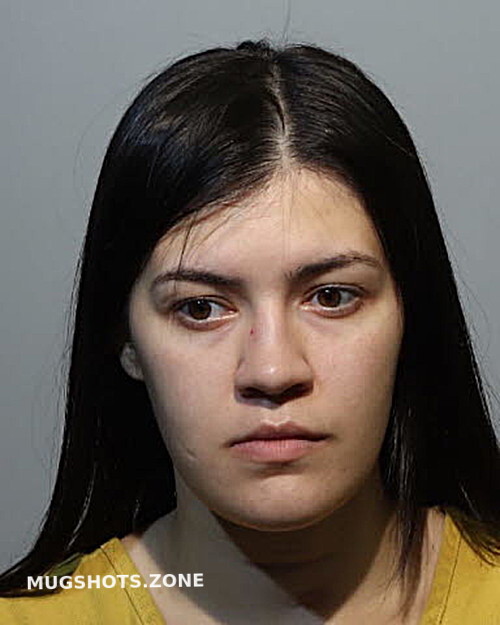 ALEXIS JOHNSTON 01/20/2023 Seminole County Mugshots Zone