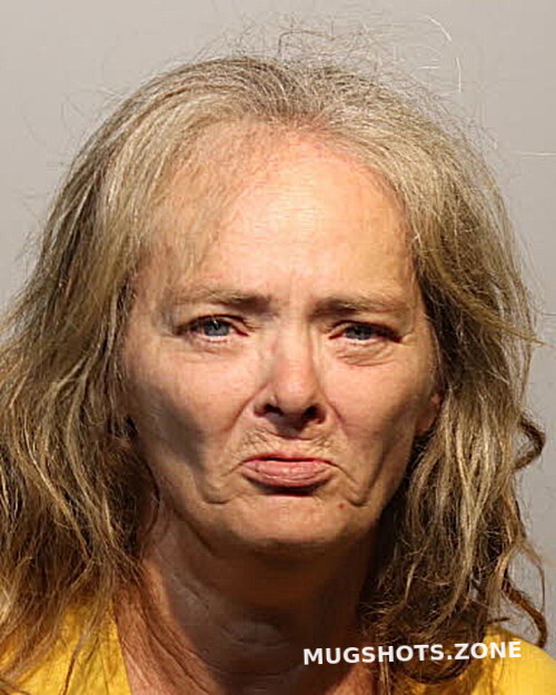 THERESA ALLEN 06/06/2023 Seminole County Mugshots Zone