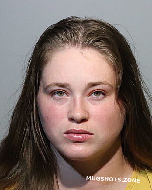 SIDNEY HARVEY 06/22/2023 - Seminole County Mugshots Zone