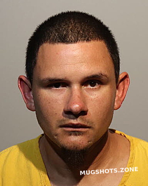 ROBERT WEBER 11/15/2023 Seminole County Mugshots Zone