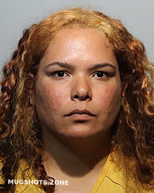 Lisa Santana Torres 11172023 Seminole County Mugshots Zone