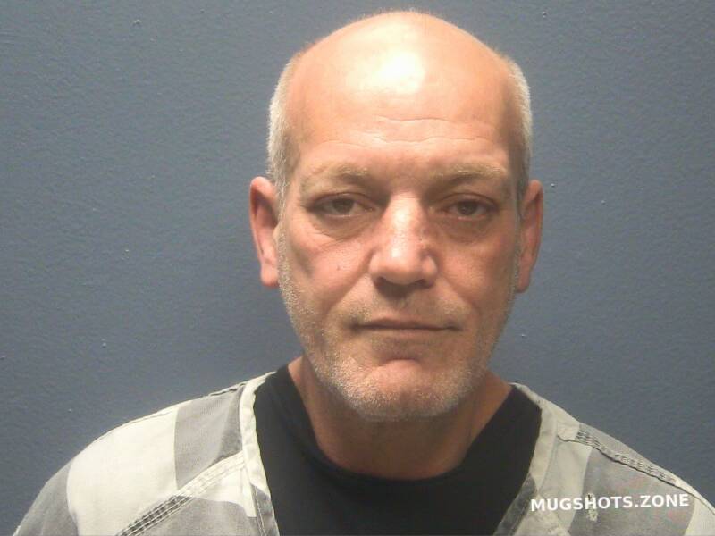 NEWMAN REESE A 03/25/2025 Sevier County Mugshots Zone