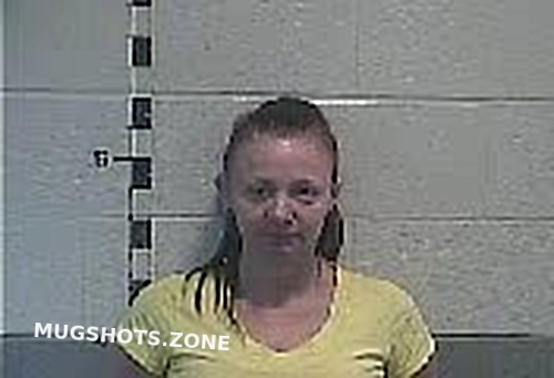 Redmon Shelly J 11272021 Shelby County Mugshots Zone 3588