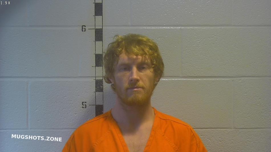 NALLEY JAMES PATRICK 08/20/2022 - Shelby County Mugshots Zone