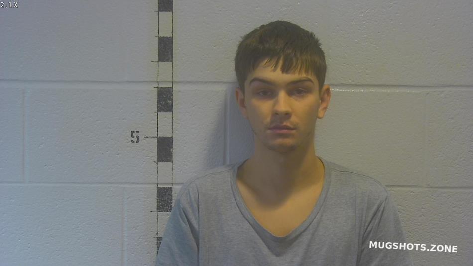 SELLS GAVIN MICHAEL 11/11/2022 Shelby County Mugshots Zone