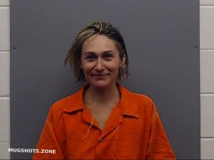 meagan mugshots zone